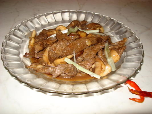 geroerbakte rundvlees in oestersaus