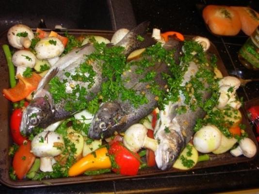 Marokkaanse vis tajine