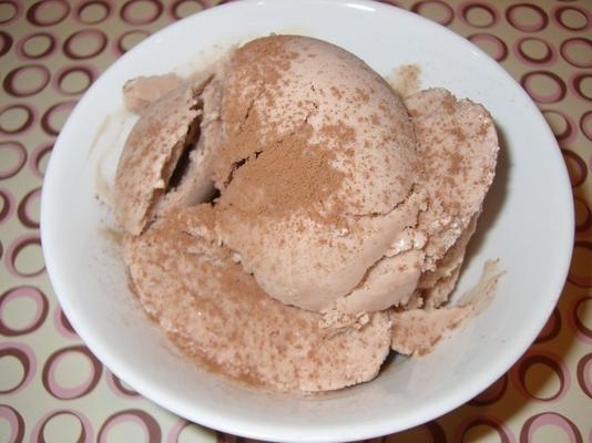 chocolade amandel bevroren yoghurt