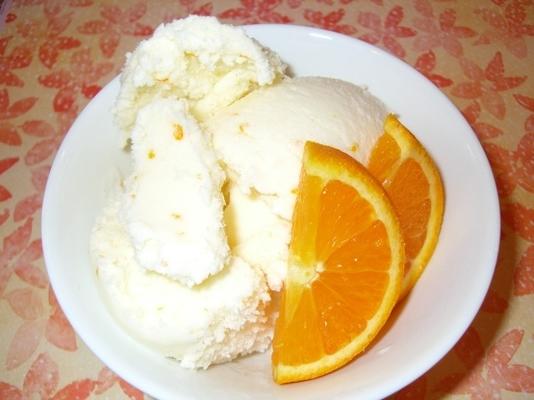 sinaasappelijsijsijs bevroren yoghurt