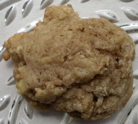 goede ol 'applesauce cookies (--tasty dish--)