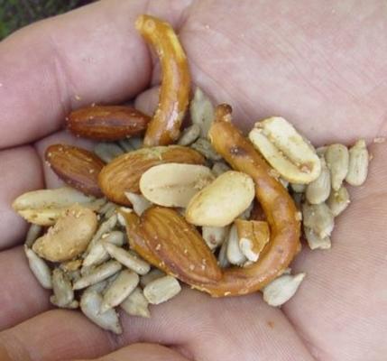 gekruide noten snack