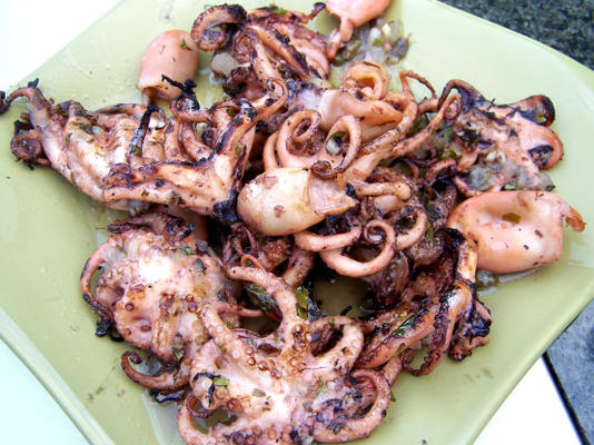octopus gegrild erg zacht