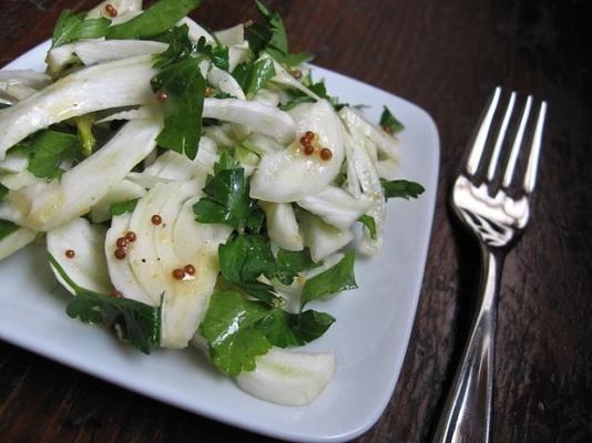 salade van venkel en peterselie