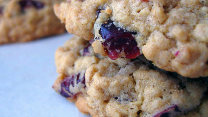 gezonde druivenmost-havermout cranberry-koekjes