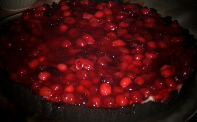 cranberry chocolade taart