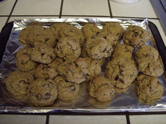 geladen havermout chocoladeschilferkruidenkoekjes