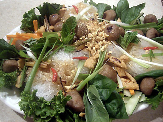 De Vietnamese salade van Lorie, de stijl van Hanoi