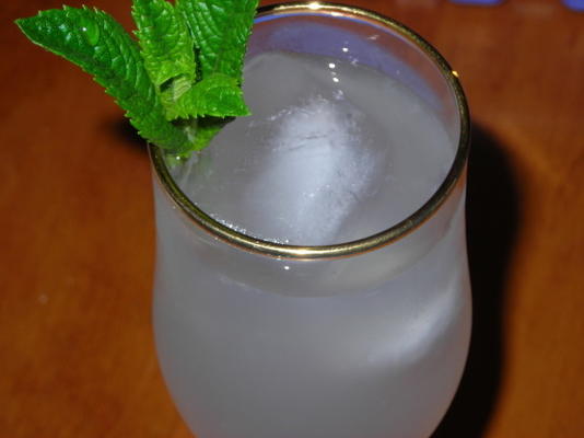 gember mint limonade