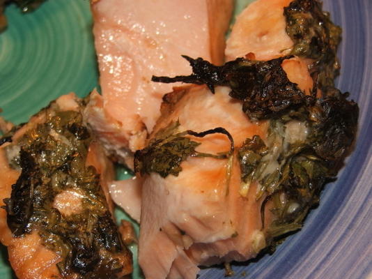 quick-fix zalm met limoen en koriander (koriander) quick-fix zalm met limoen en koriander (koriander)