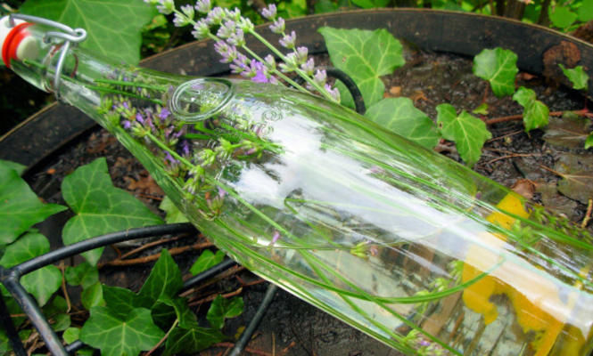 lavendel geurende en doordrenkte wodka