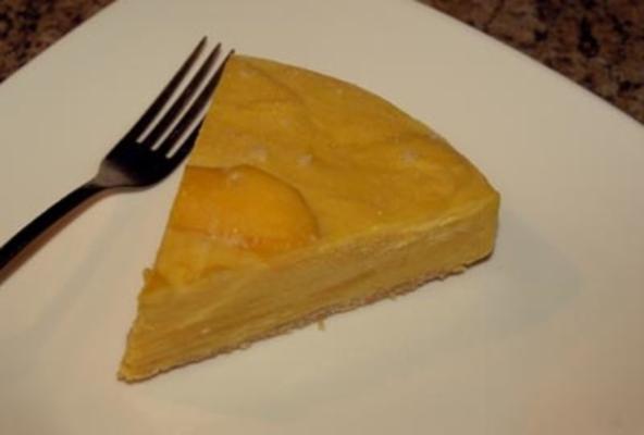 bevroren kokosroom mango cake (veganistisch)