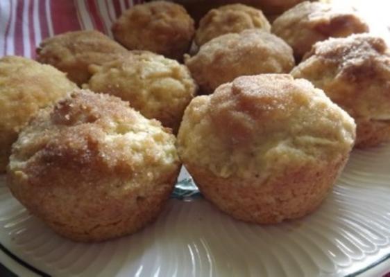 gebakken rauwe apple donut muffins