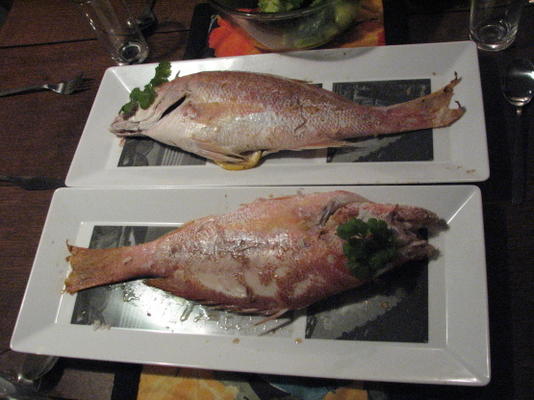 gezouten gegrilde vis