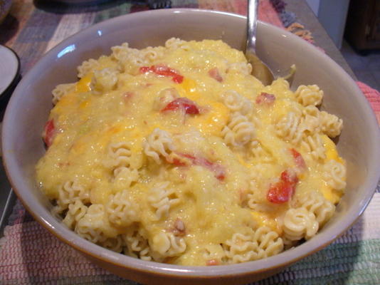 cheesy kip spaghetti squash saus over pasta