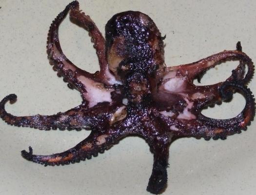 bbq knoflook octopus