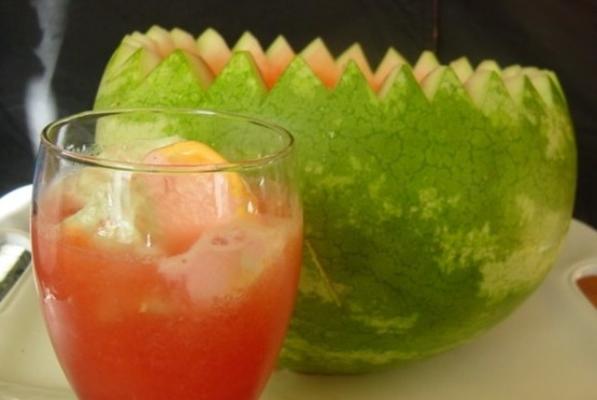 watermeloen citrus punch