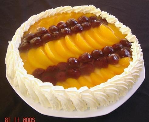 niet-gebakken cheesecake met fruit
