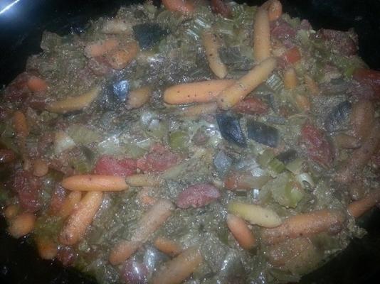 Spaanse stijl lever-crock pot