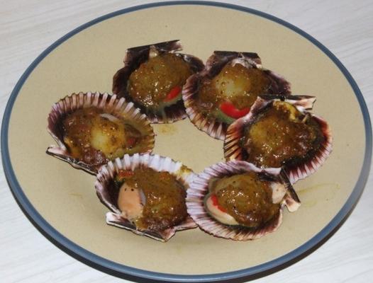 bbq curried sint-jakobsschelpen in de dop
