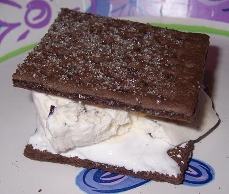 s'mores chocolade-ijs broodjes