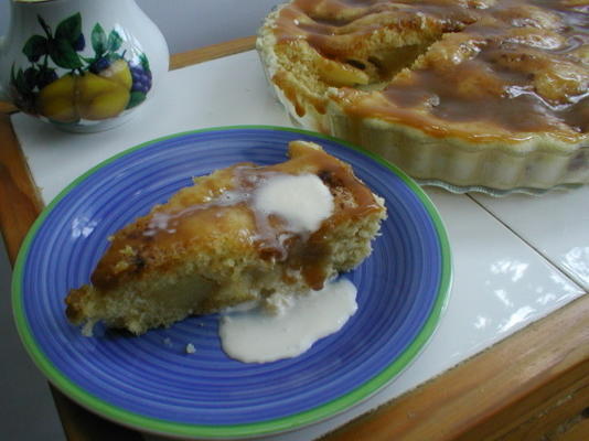 fudge apple tart - magnetron versie