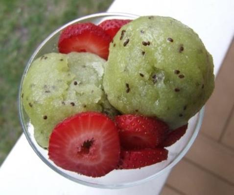 aardbeien-kiwi sorbet
