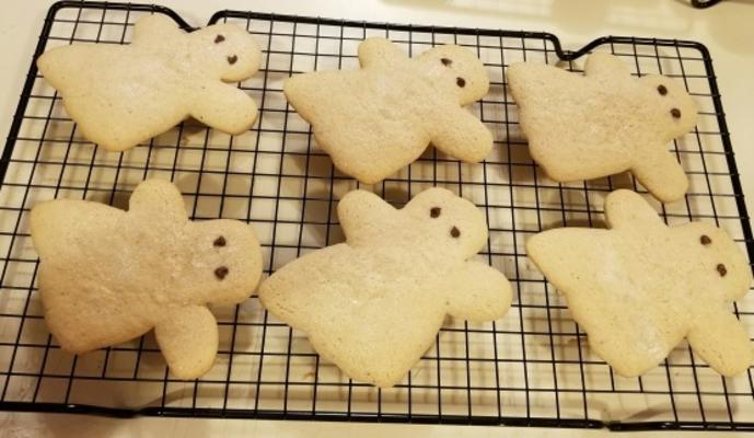 suiker koekjes van tante Angie