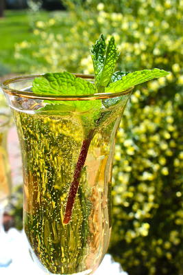 mijn champagne mint julep