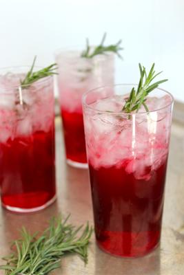 rozemarijn sloe gin fizz