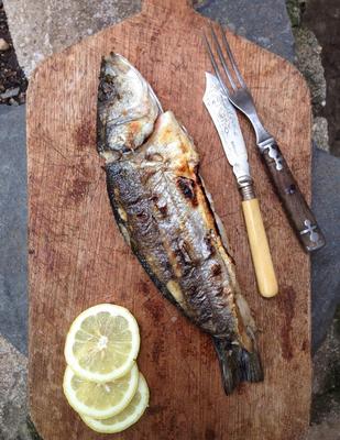 hele gegrilde branzino