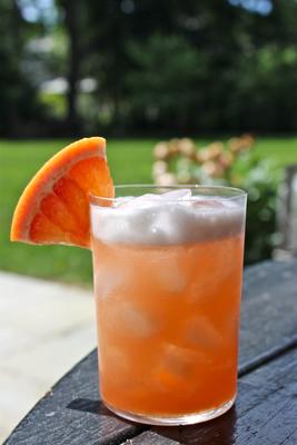 grapefruit gin fizz